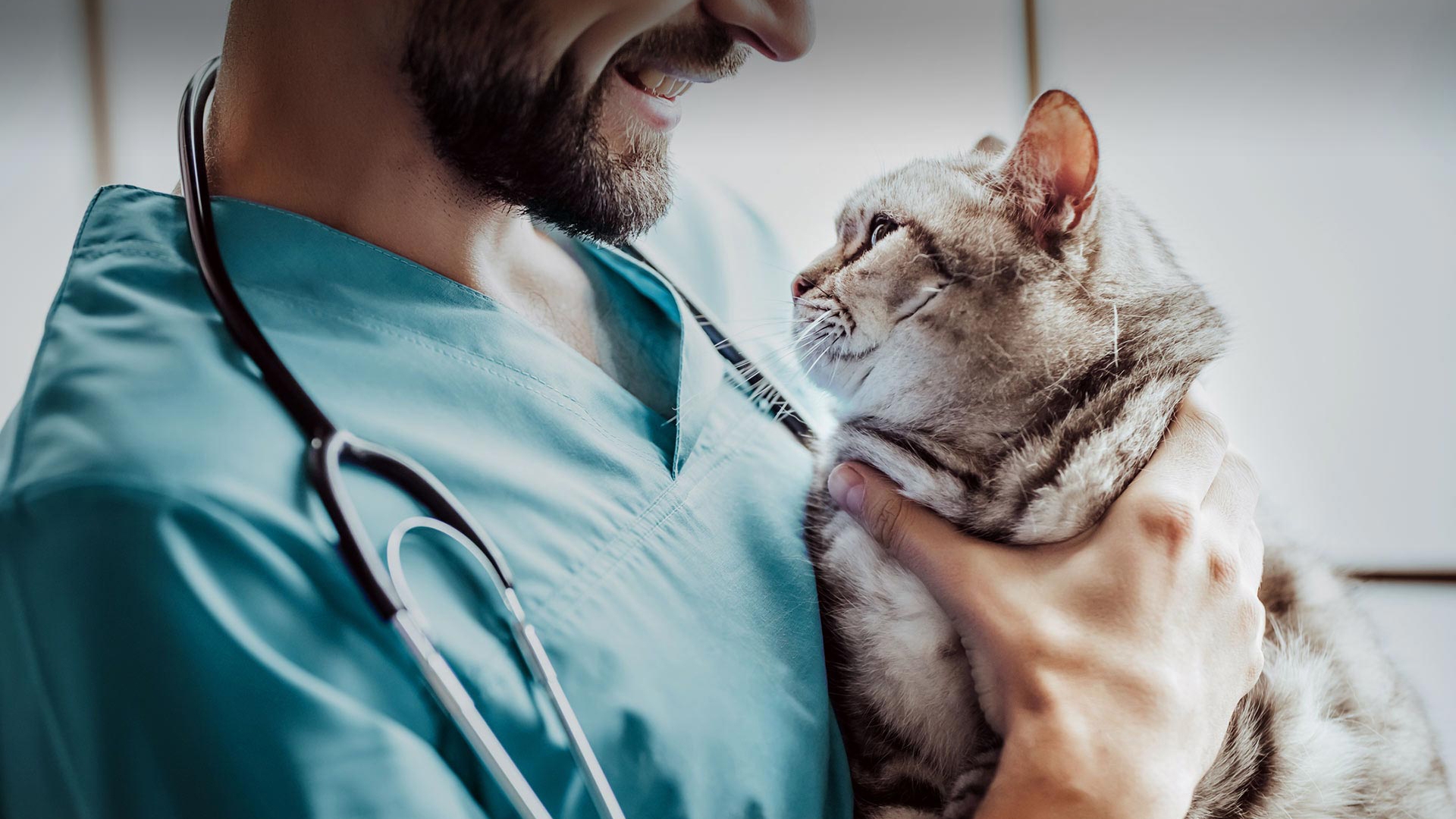 Odunpazarı Veteriner